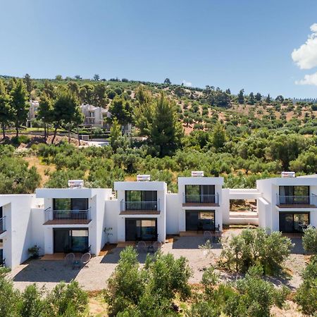 Olea Villas By Halu!, Cozy Villa In Nikiti Λαγόμανδρα Εξωτερικό φωτογραφία
