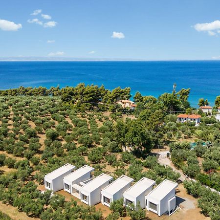 Olea Villas By Halu!, Cozy Villa In Nikiti Λαγόμανδρα Εξωτερικό φωτογραφία