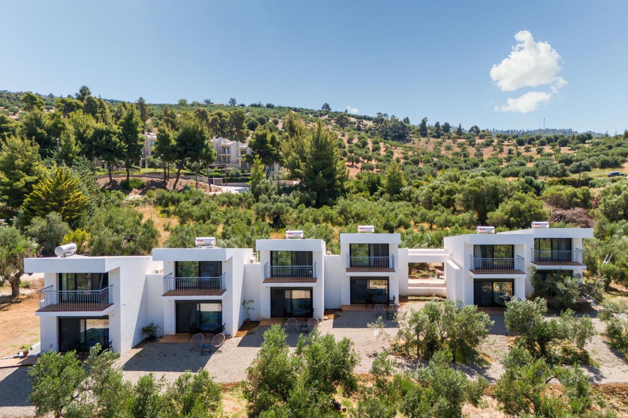 Olea Villas By Halu!, Cozy Villa In Nikiti Λαγόμανδρα Εξωτερικό φωτογραφία