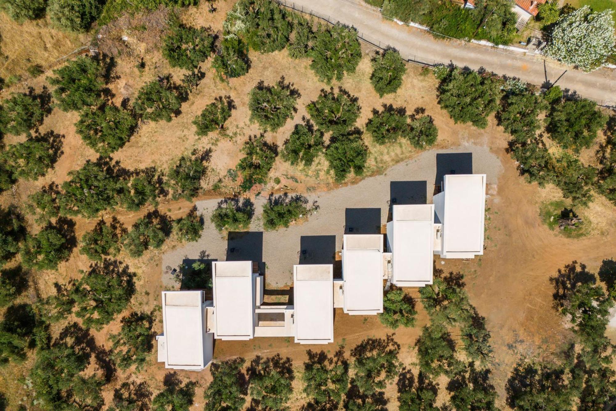 Olea Villas By Halu!, Cozy Villa In Nikiti Λαγόμανδρα Εξωτερικό φωτογραφία