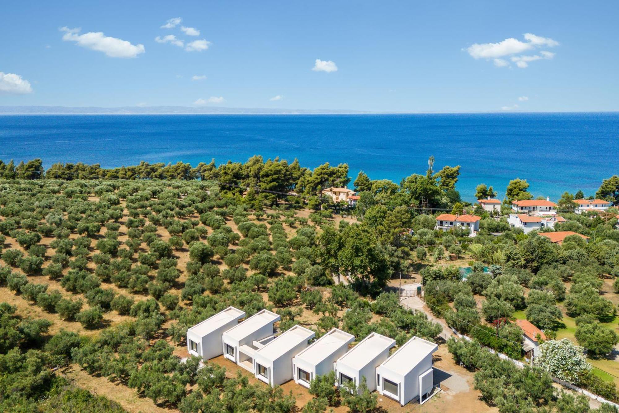 Olea Villas By Halu!, Cozy Villa In Nikiti Λαγόμανδρα Εξωτερικό φωτογραφία