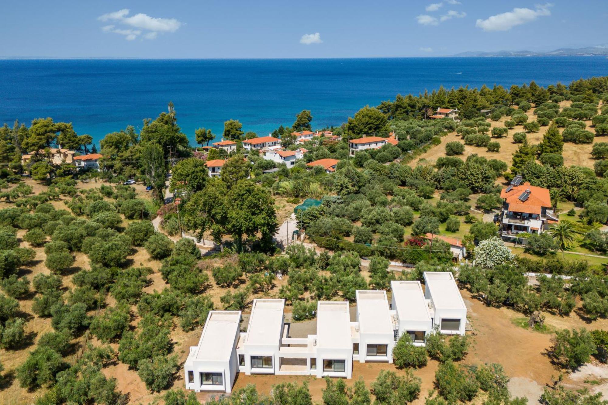 Olea Villas By Halu!, Cozy Villa In Nikiti Λαγόμανδρα Εξωτερικό φωτογραφία