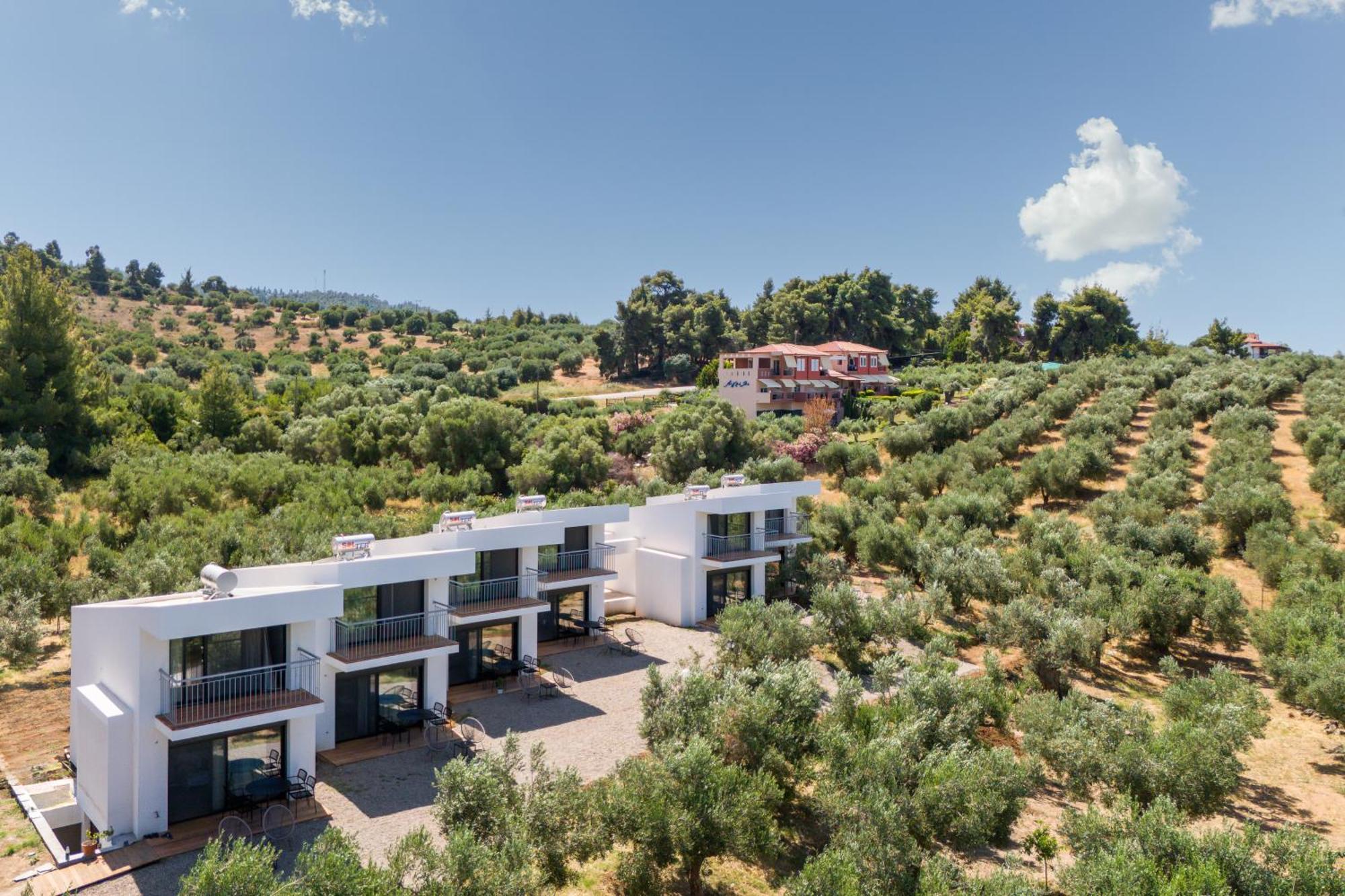 Olea Villas By Halu!, Cozy Villa In Nikiti Λαγόμανδρα Εξωτερικό φωτογραφία
