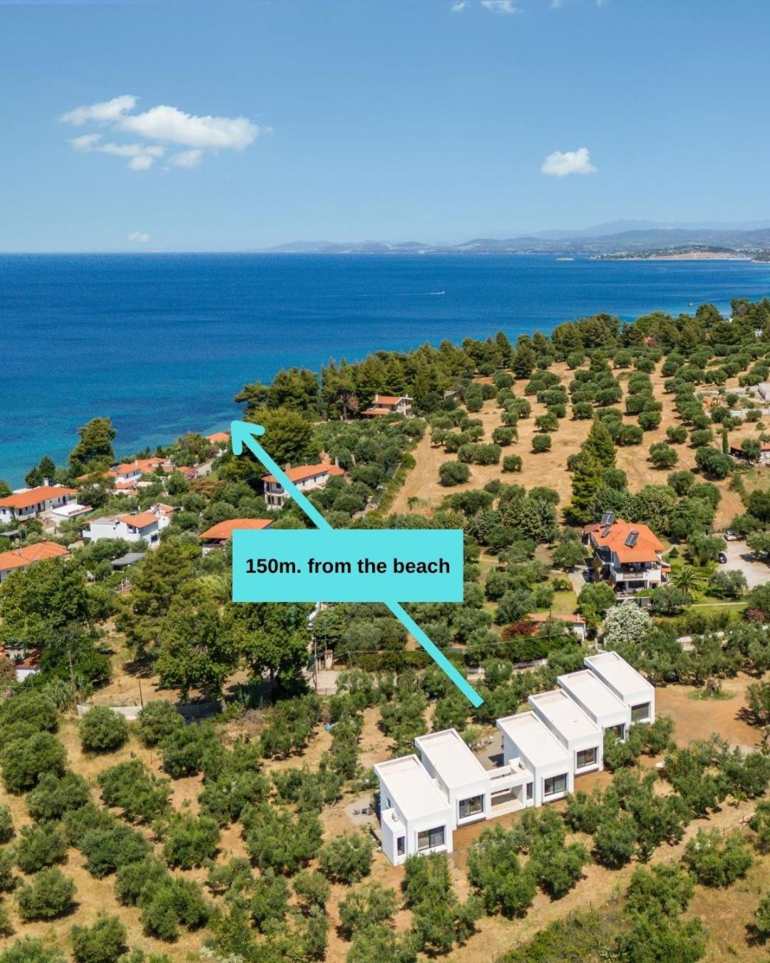 Olea Villas By Halu!, Cozy Villa In Nikiti Λαγόμανδρα Εξωτερικό φωτογραφία